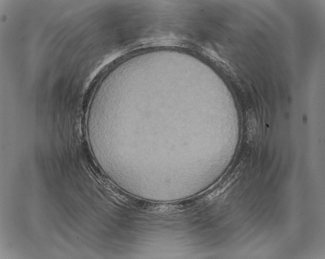 X0000066521166200604071544