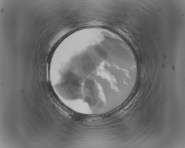 X0000066521171200604071544