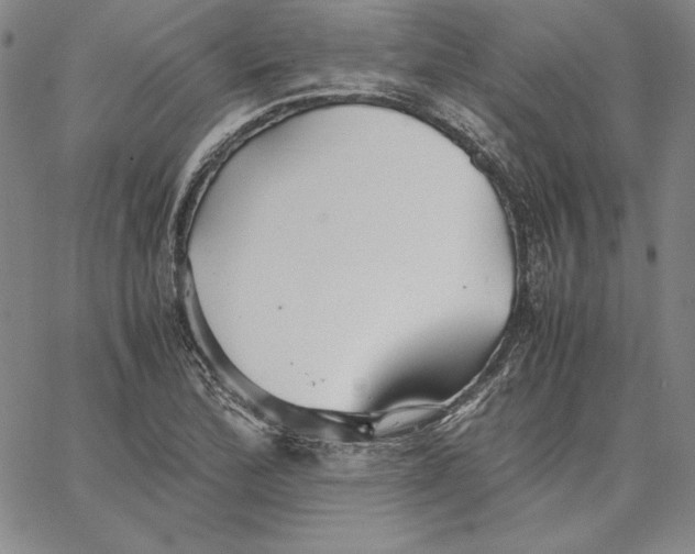 X0000066521172200604071544