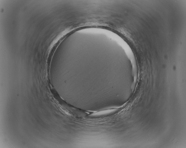 X0000066521173200604071544