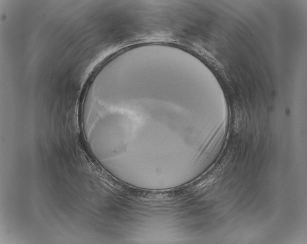 X0000066521174200604071544