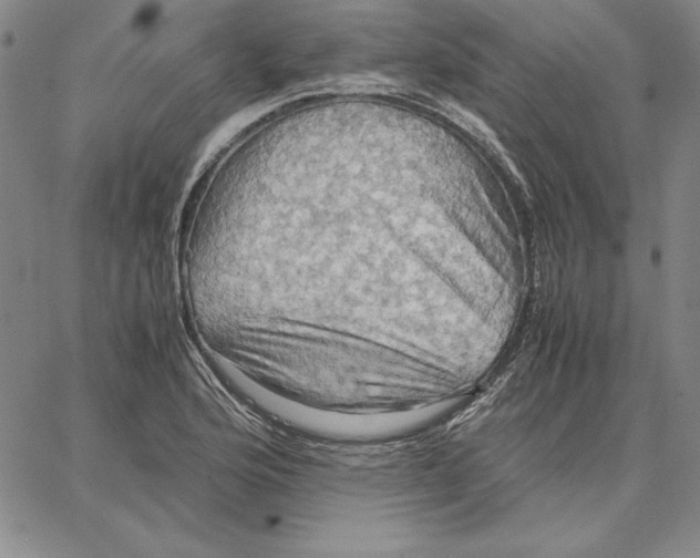 X0000066521176200604071544