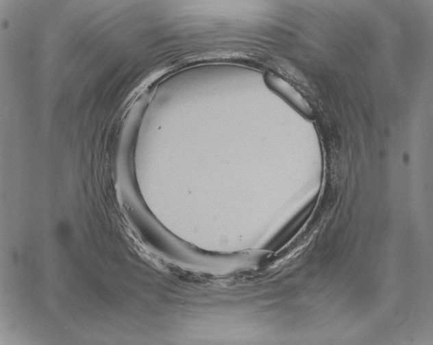 X0000066521177200604071544