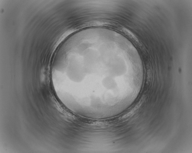 X0000066521178200604071544