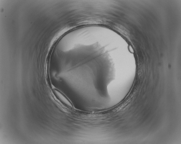 X0000066521179200604071544