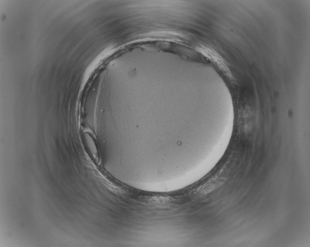 X0000066521180200604071544