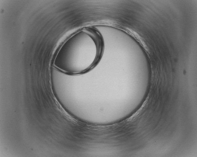 X0000066521184200604071544