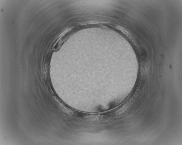 X0000066521185200604071544