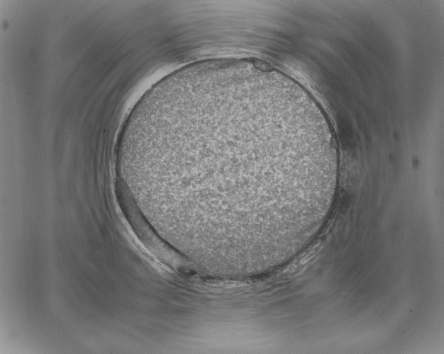 X0000066521187200604071544