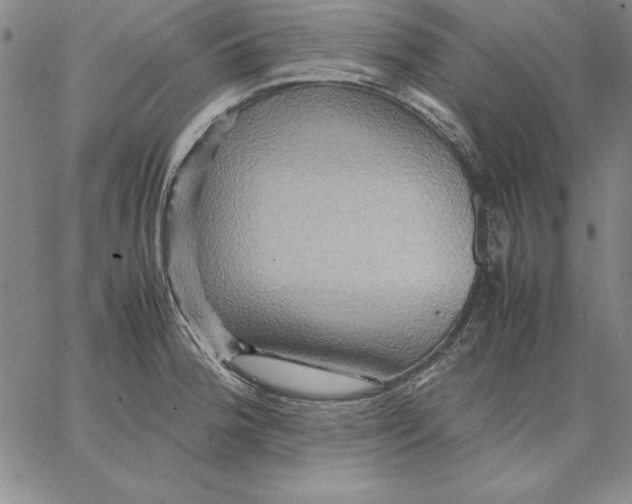 X0000066521188200604071544