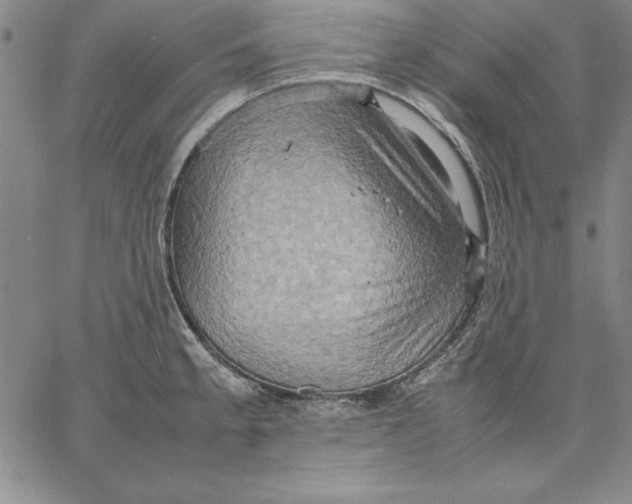 X0000066521189200604071544