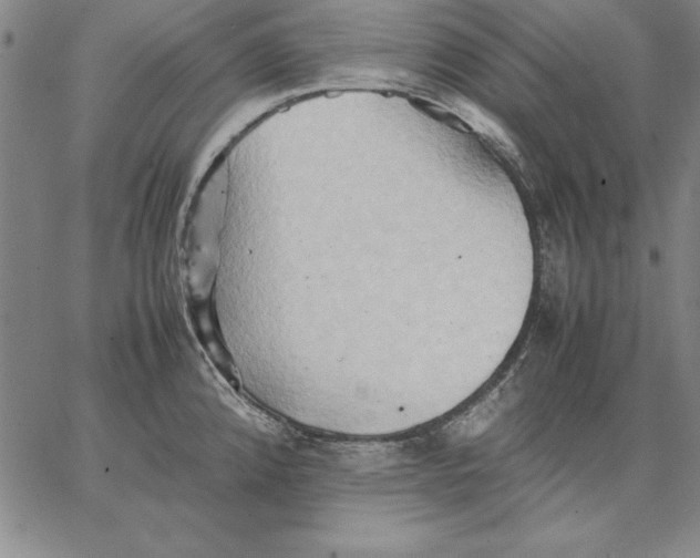 X0000066521192200604071544