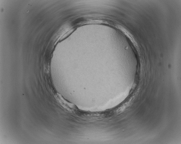 X0000066521193200604071544