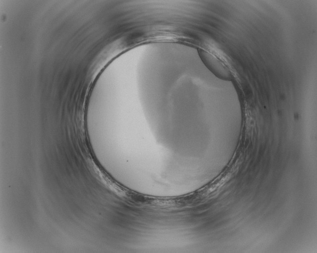 X0000066521194200604071544