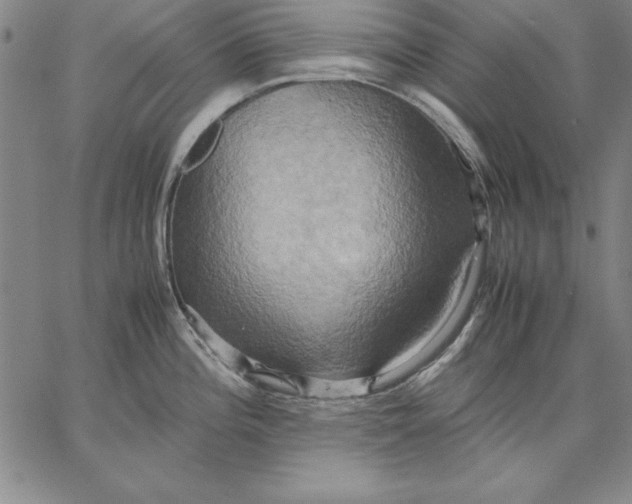 X0000066521196200604071544