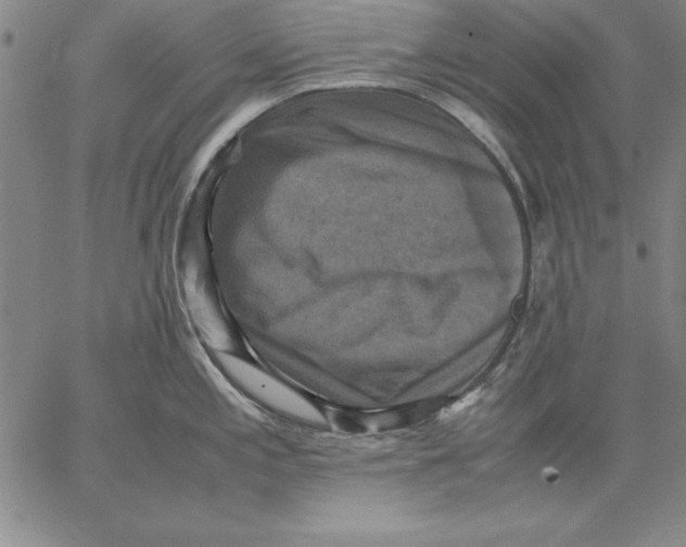 X0000066521197200604071544