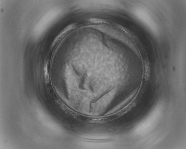 X0000066521198200604071544