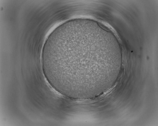 X0000066521199200604071544