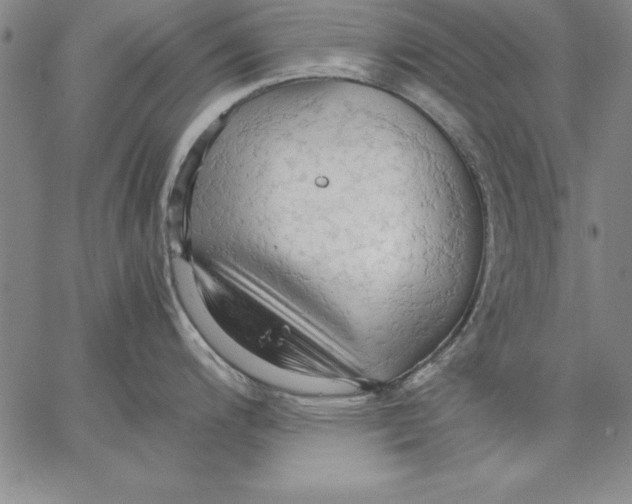 X0000066521200200604071544