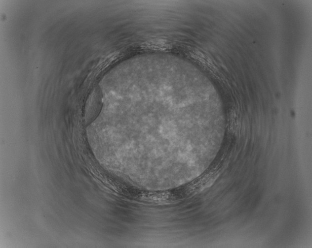 X0000066521201200604071543