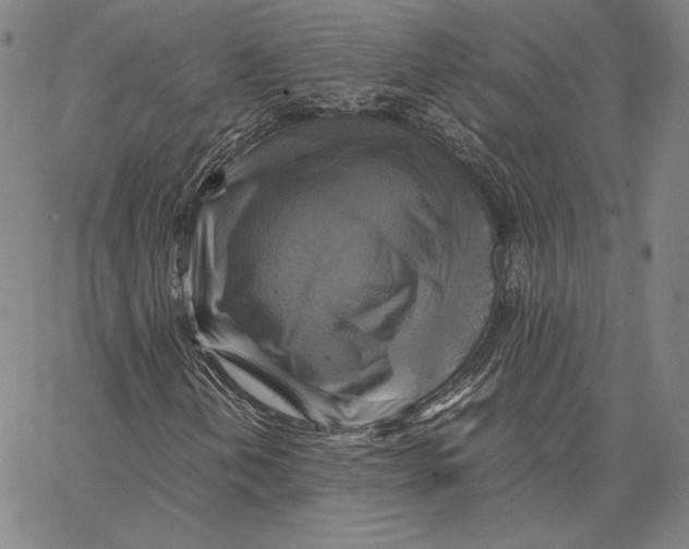 X0000066521202200604071543