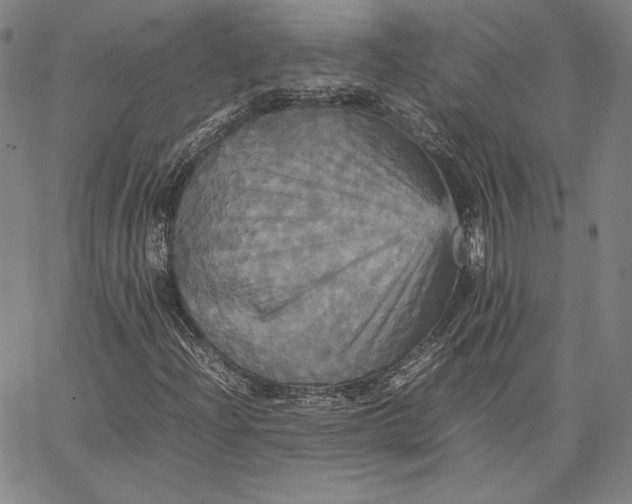 X0000066521204200604071543