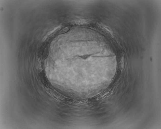 X0000066521205200604071543