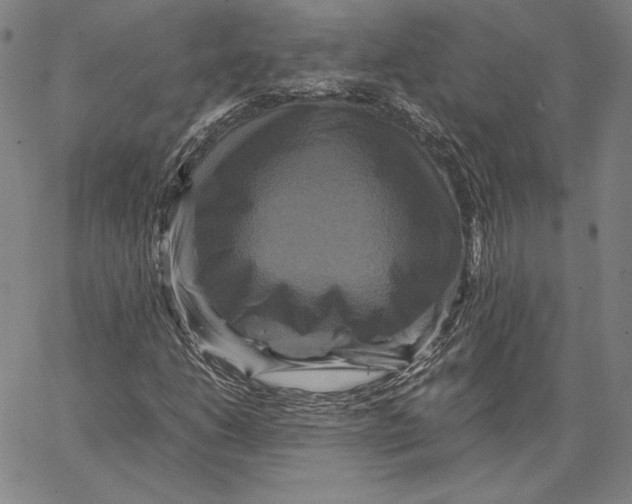 X0000066521206200604071543