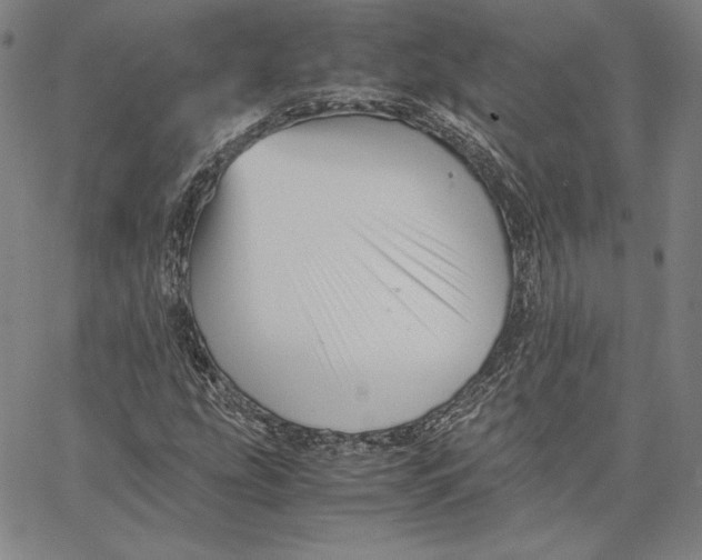 X0000066521207200604071543