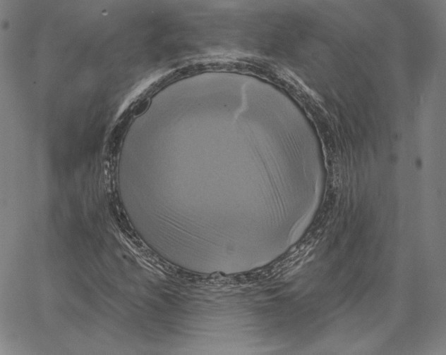 X0000066521208200604071543