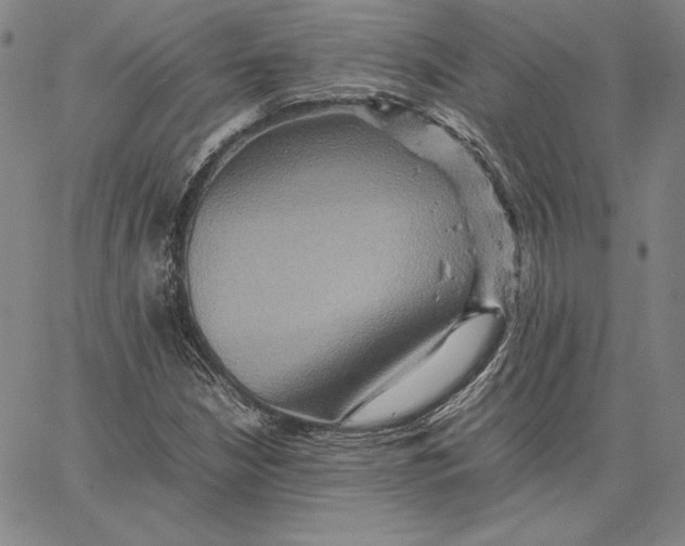 X0000066521210200604071543