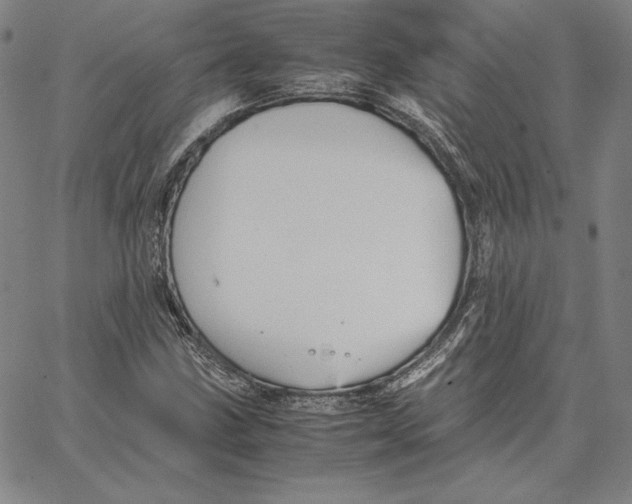 X0000066521211200604071543