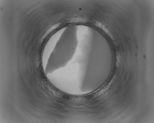 X0000066521213200604071543