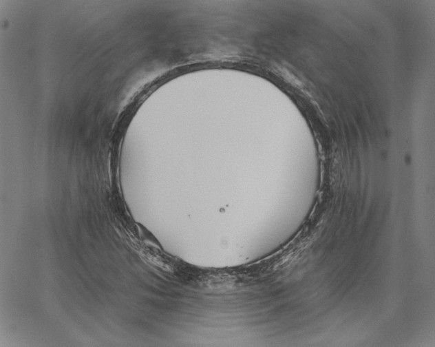 X0000066521214200604071543