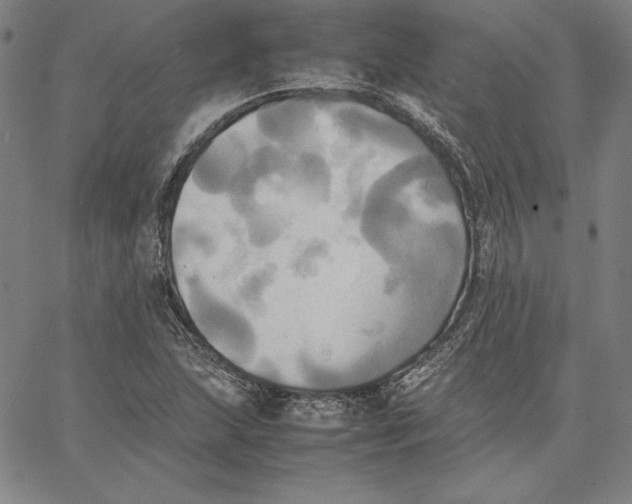 X0000066521215200604071543