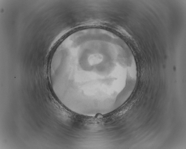 X0000066521216200604071543