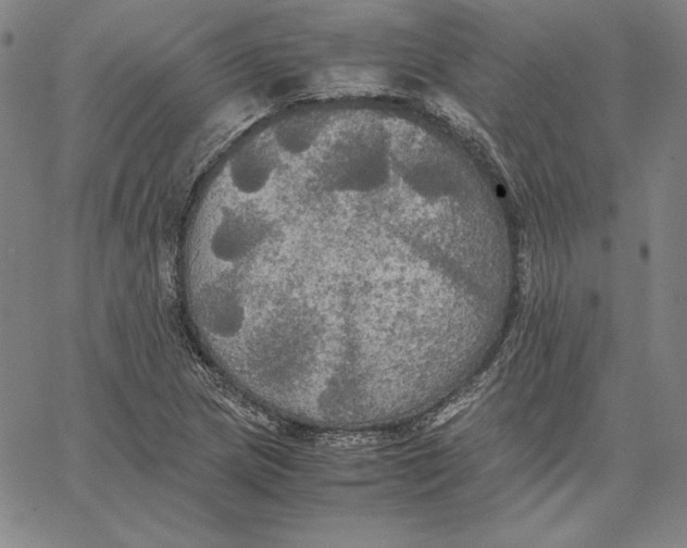 X0000066521217200604071543