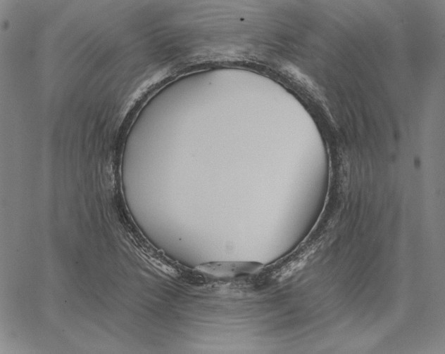 X0000066521218200604071543