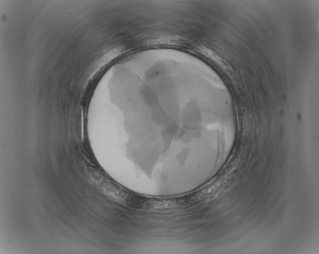 X0000066521219200604071543