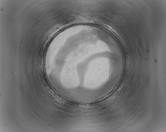 X0000066521220200604071543