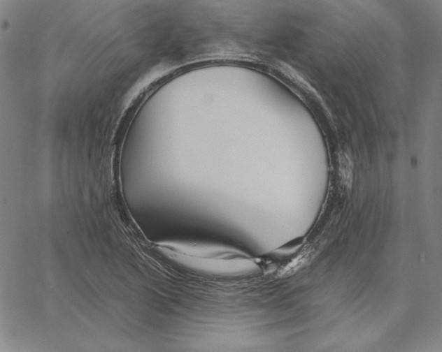 X0000066521222200604071544