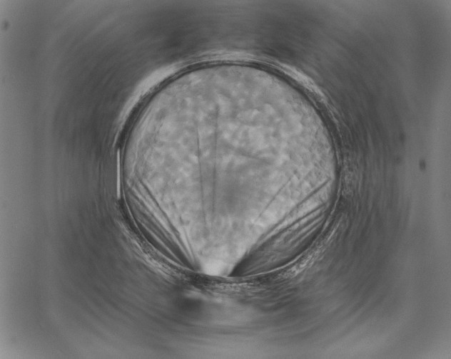 X0000066521223200604071544