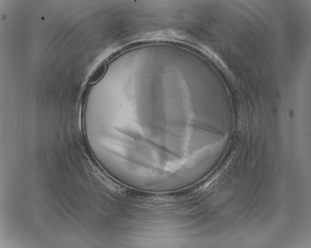 X0000066521224200604071544