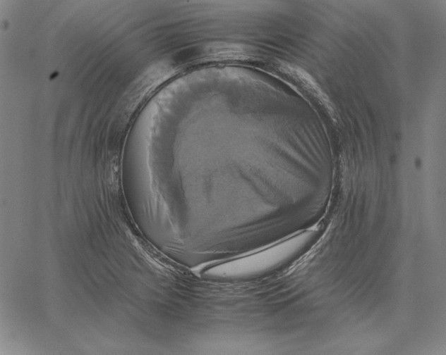 X0000066521225200604071544