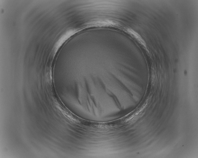 X0000066521226200604071544