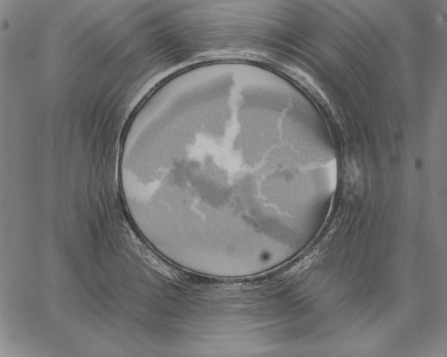 X0000066521228200604071544