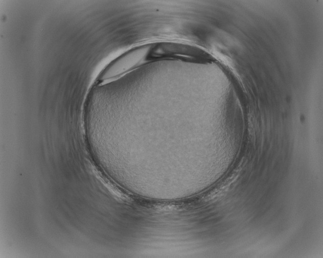 X0000066521230200604071544