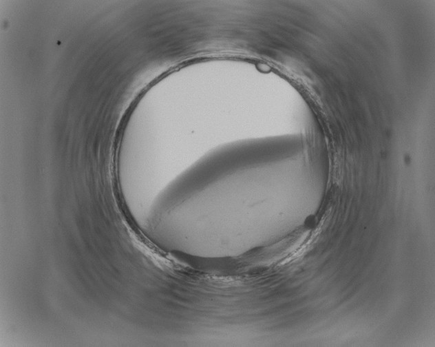 X0000066521231200604071544