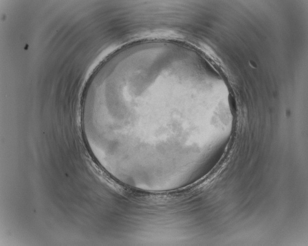 X0000066521232200604071544