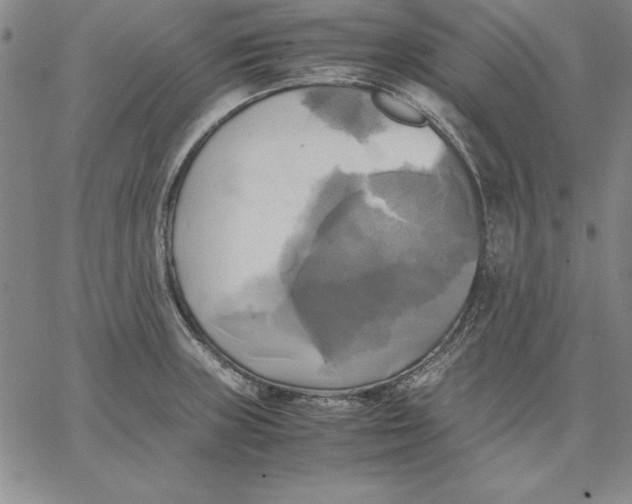 X0000066521235200604071544